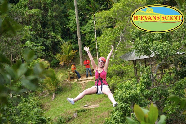 Heavens Scent: Ziplining In Jamaica